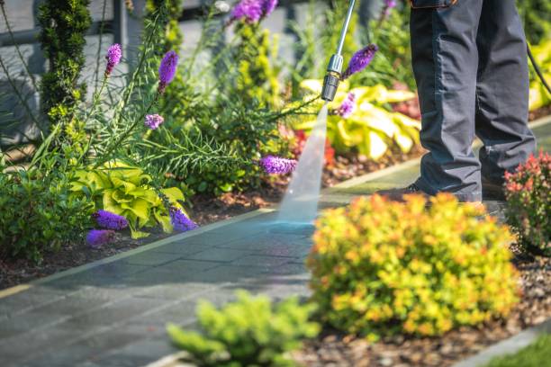 Best Dumpster Area Cleaning  in Lawrenceville, NJ